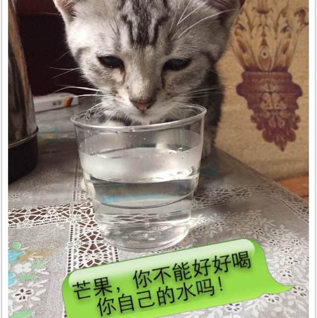 学位证网上怎么查询